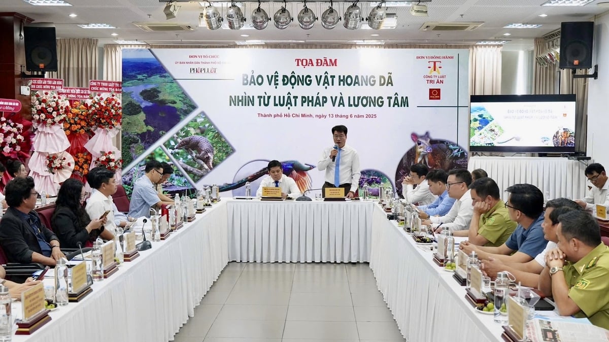 Quang cảnh buổi tọa đàm. Ảnh: Đình Du. Quang cảnh buổi tọa đàm. Ảnh: Đình Du.