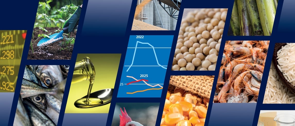 Regarding core agricultural commodities, world output of rice, maize, sorghum and oilseeds are expected to reach new record levels, according to the FAO Food Outlook.