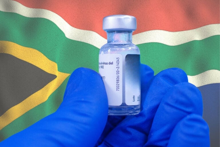 South Africa’s agriculture minister John Steenhuisen says South Africa is not currently facing an outbreak of avian influenza, but there has been an uptick in bird flu cases around the world. Photo: Canva.