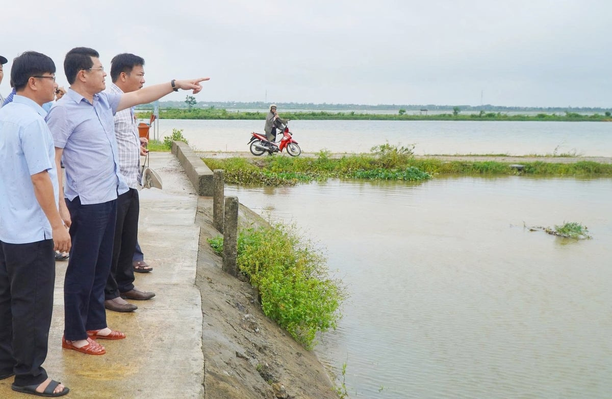 Lãnh đạo TP Huế kiểm tra tình hình mưa lũ và công tác ứng cứu lúa, hoa màu. Ảnh: Văn Dinh. Lãnh đạo TP Huế kiểm tra tình hình mưa lũ và công tác ứng cứu lúa, hoa màu. Ảnh: Văn Dinh.