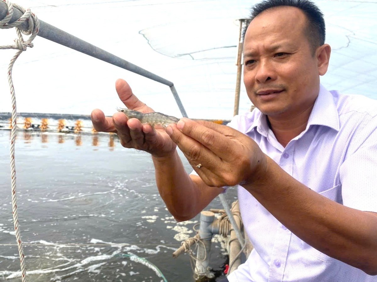 Bên cạnh thế mạnh về cây ăn trái, Tiền Giang có tiềm năng lớn trong nuôi trồng thủy sản, đặc biệt là ở Tân Phú Đông. Ảnh: Minh Đảm. Bên cạnh thế mạnh về cây ăn trái, Tiền Giang có tiềm năng lớn trong nuôi trồng thủy sản, đặc biệt là ở Tân Phú Đông. Ảnh: Minh Đảm.