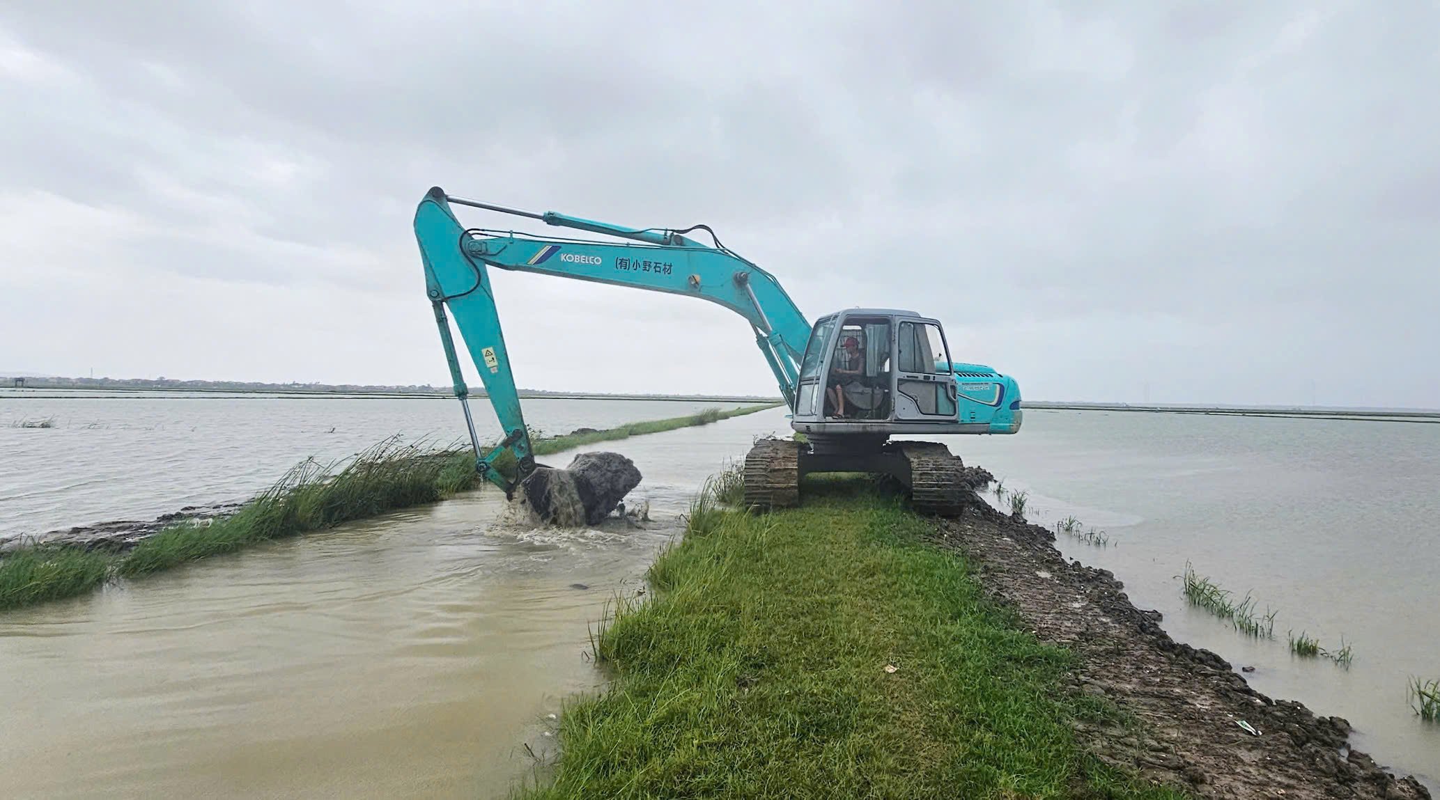 Gia cố đê bao ngăn lũ tại HTX Thống Nhất. Ảnh: T. Đức. Gia cố đê bao ngăn lũ tại HTX Thống Nhất. Ảnh: T. Đức.