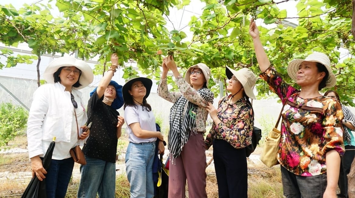 Chị Vân Anh (bìa trái) cùng đồng nghiệp phấn khích khi trải nghiệm du lịch nông thôn gắn với sản phẩm OCOP tại Tây Ninh. Ảnh: Trần Trung. Chị Vân Anh (bìa trái) cùng đồng nghiệp phấn khích khi trải nghiệm du lịch nông thôn gắn với sản phẩm OCOP tại Tây Ninh. Ảnh: Trần Trung.
