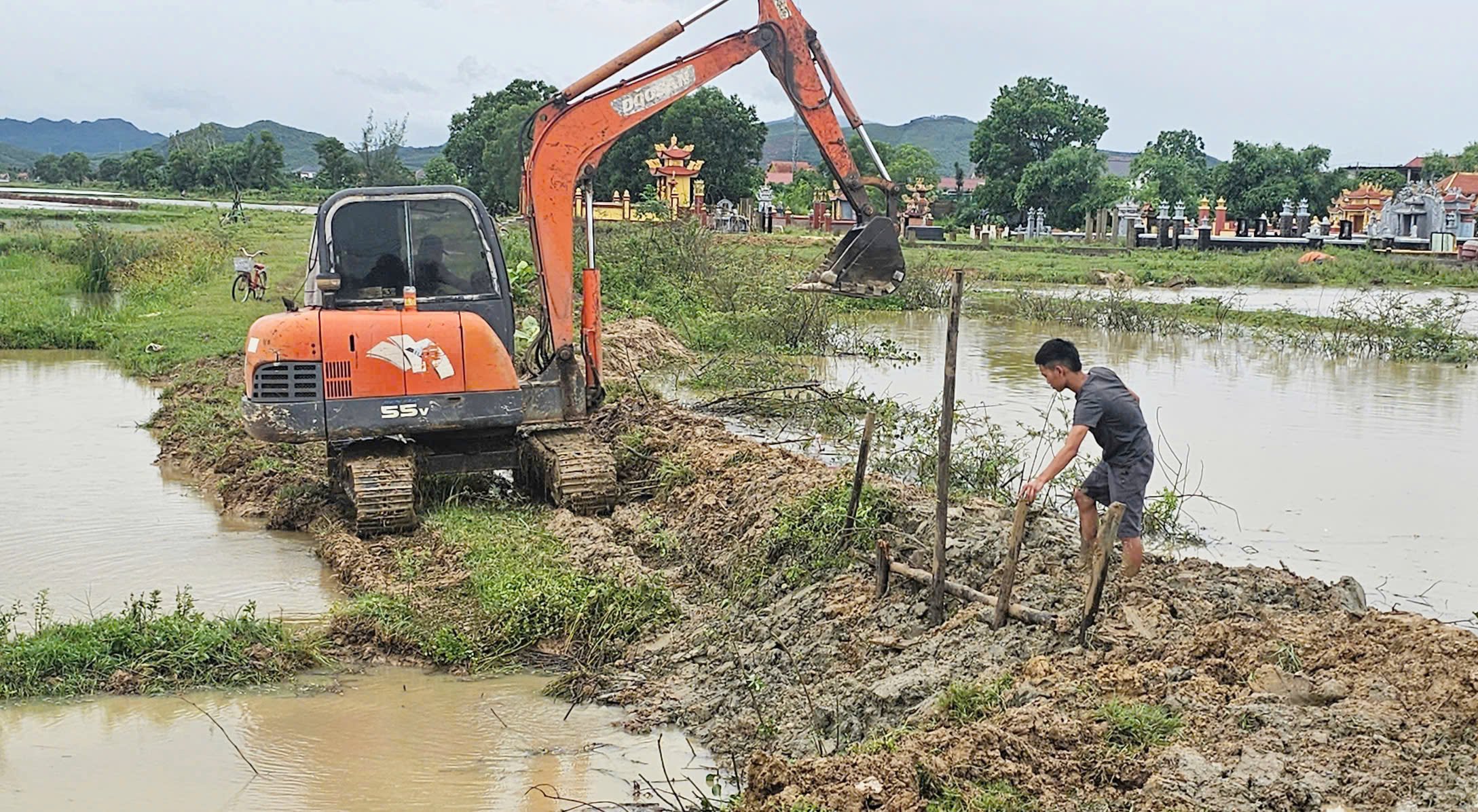 Đóng cọc gia cố đê xung yếu ở HTX Hoành Vinh. Ảnh: T. Đức. Đóng cọc gia cố đê xung yếu ở HTX Hoành Vinh. Ảnh: T. Đức.