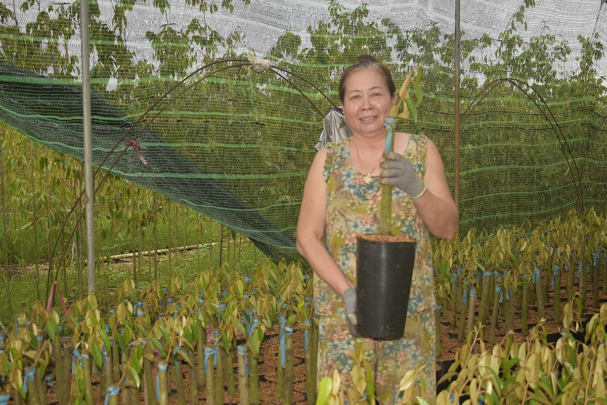 Bà Trần Thị Ri ở ấp Quân Phong, xã Tân Thiềng vui mừng vì những thành quả xây dựng nông thôn mới giúp đời sống nhân dân ấm tốt hơn. Ảnh: Kiều Nhi. Bà Trần Thị Ri ở ấp Quân Phong, xã Tân Thiềng vui mừng vì những thành quả xây dựng nông thôn mới giúp đời sống nhân dân ấm tốt hơn. Ảnh: Kiều Nhi.