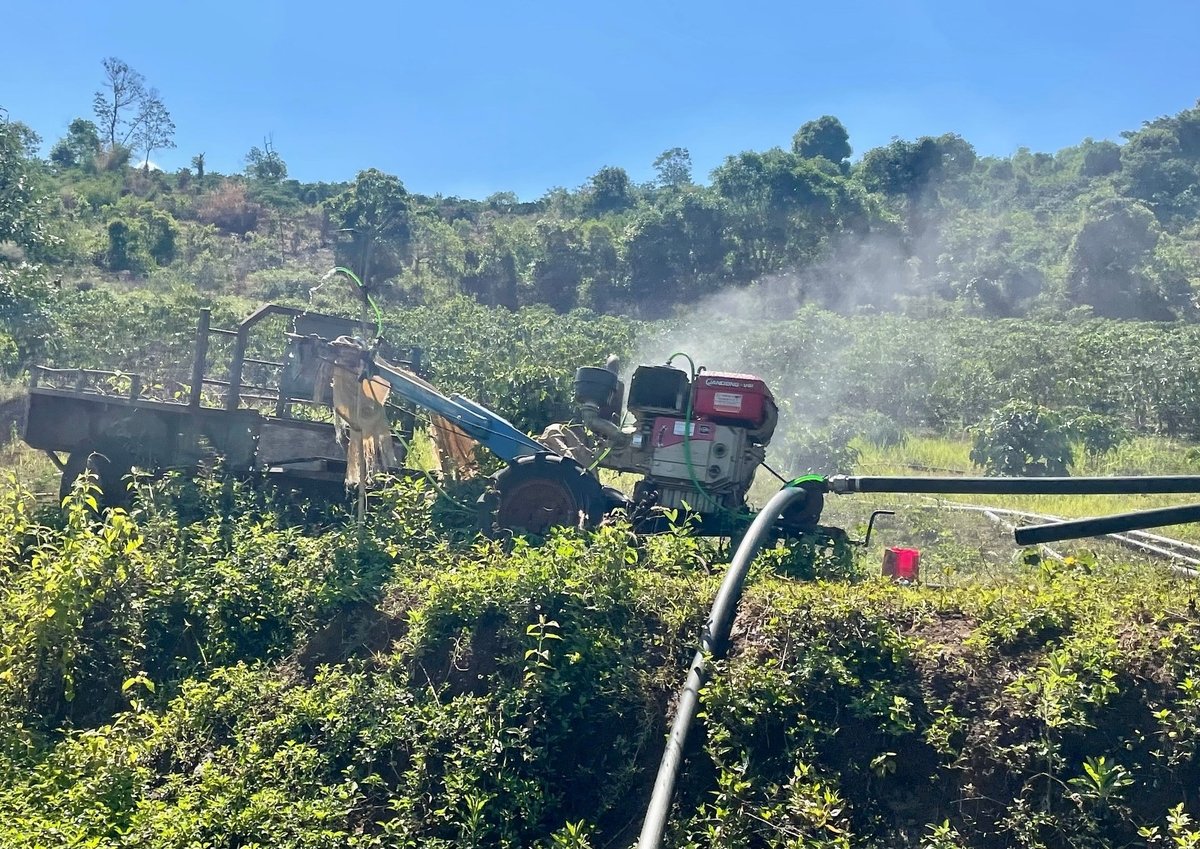 Nước kênh Tam Lực dùng tưới tiêu cho hàng trăm ha cây sầu riêng đang mùa đơm hoa kết trái. Ảnh: Đình Du. Nước kênh Tam Lực dùng tưới tiêu cho hàng trăm ha cây sầu riêng đang mùa đơm hoa kết trái. Ảnh: Đình Du.