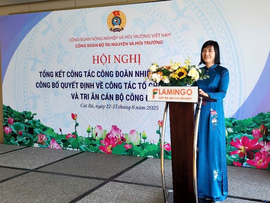 Theo bà Vũ Thị Mai Lan, Phó Chủ tịch thường trực Công đoàn Bộ Tài nguyên và Môi trường cho biết, hơn 22 năm hoạt động, Công đoàn Bộ TN-MT đã có nhiều hoạt động ý nghĩa, thiết thực góp phần chăm lo bảo vệ quyền và lợi ích chính đáng cho đoàn viên công chức, viên chức, người lao động. Ảnh: Đình Tuân. Theo bà Vũ Thị Mai Lan, Phó Chủ tịch thường trực Công đoàn Bộ Tài nguyên và Môi trường cho biết, hơn 22 năm hoạt động, Công đoàn Bộ TN-MT đã có nhiều hoạt động ý nghĩa, thiết thực góp phần chăm lo bảo vệ quyền và lợi ích chính đáng cho đoàn viên công chức, viên chức, người lao động. Ảnh: Đình Tuân.