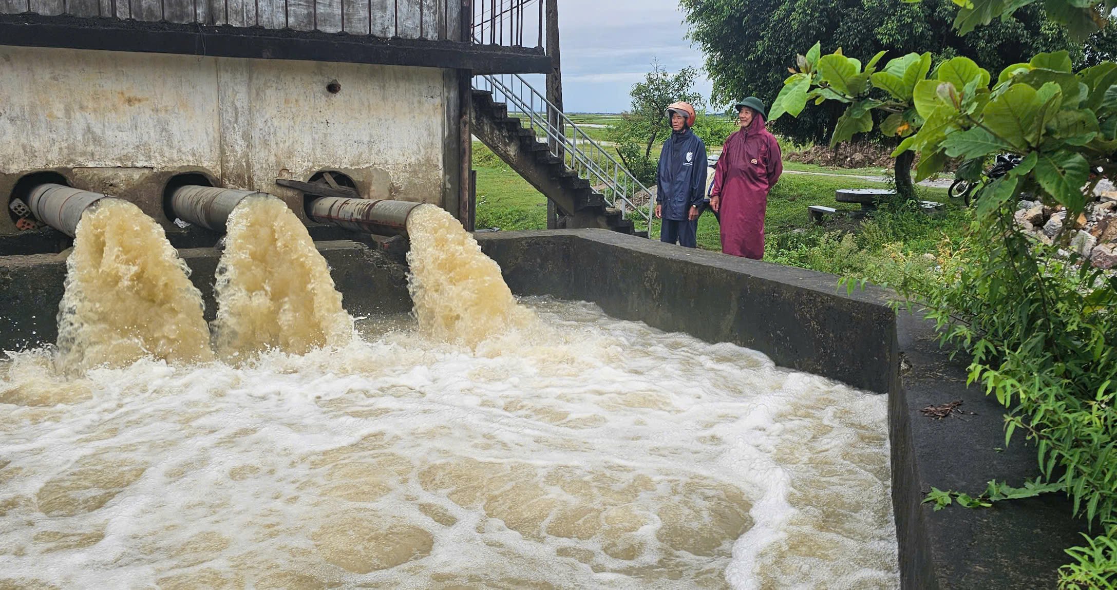 Những trạm bơm hoạt động ngày đêm để tiết nước ra đồng cứu lúa hè thu. Ảnh: T. Đức. Những trạm bơm hoạt động ngày đêm để tiết nước ra đồng cứu lúa hè thu. Ảnh: T. Đức.