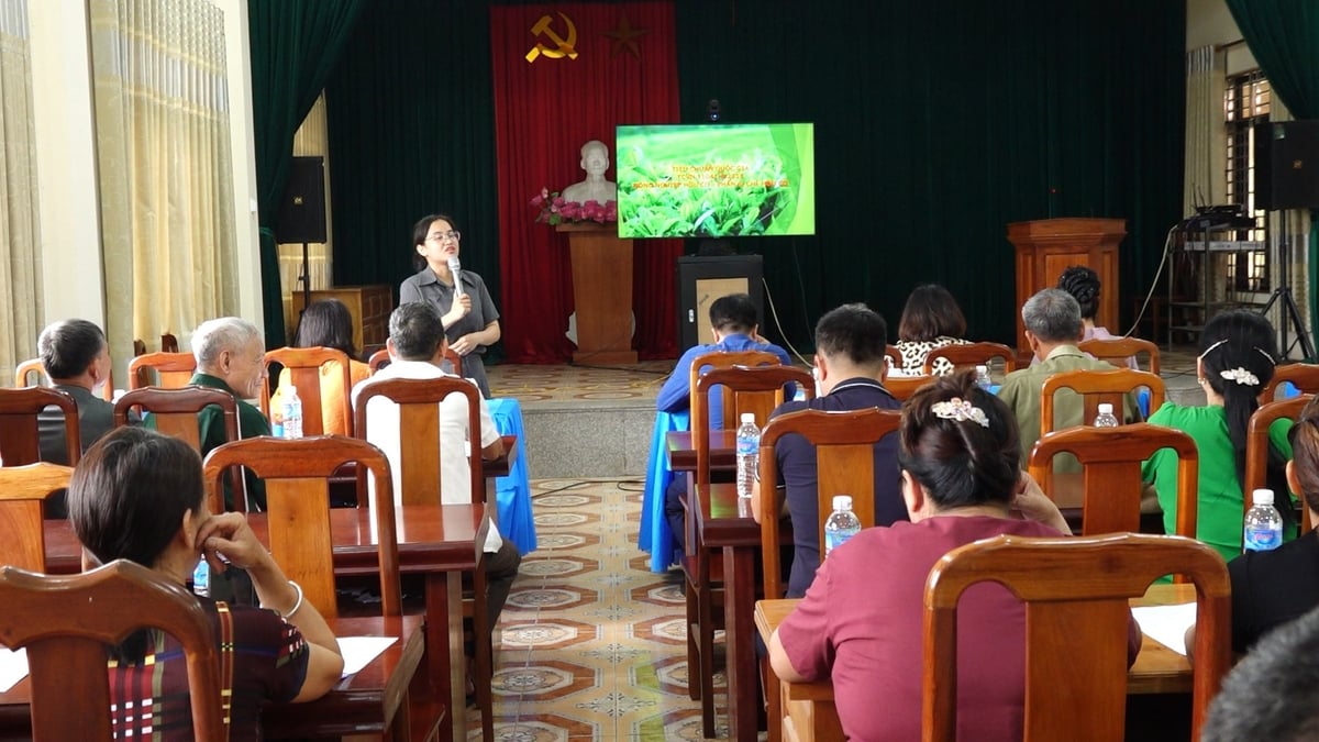 TP Thái Nguyên triển khai nhiều lớp tập huấn về sản xuất chè hữu cơ cho nông dân. Ảnh: Quang Linh. TP Thái Nguyên triển khai nhiều lớp tập huấn về sản xuất chè hữu cơ cho nông dân. Ảnh: Quang Linh.