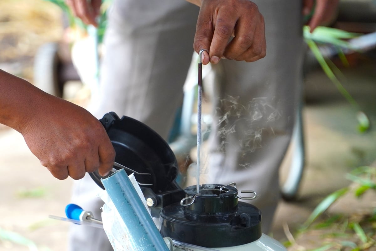Dự án 'Phát triển chăn nuôi bò trên địa bàn tỉnh Sóc Trăng' chú trọng hỗ trợ tinh bò cao sản giúp người chăn nuôi nâng cao hiệu quả sản xuất. Ảnh: Văn Vũ. Dự án 'Phát triển chăn nuôi bò trên địa bàn tỉnh Sóc Trăng' chú trọng hỗ trợ tinh bò cao sản giúp người chăn nuôi nâng cao hiệu quả sản xuất. Ảnh: Văn Vũ.