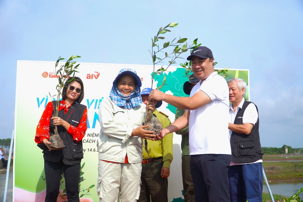 Ông Nguyễn Xuân Khánh – Phó Tổng Biên tập Báo Kinh tế & Đô thị trao tặng cây mắm trắng cho người dân thị xã Vĩnh Châu. Ảnh: Kim Anh. Ông Nguyễn Xuân Khánh – Phó Tổng Biên tập Báo Kinh tế & Đô thị trao tặng cây mắm trắng cho người dân thị xã Vĩnh Châu. Ảnh: Kim Anh.