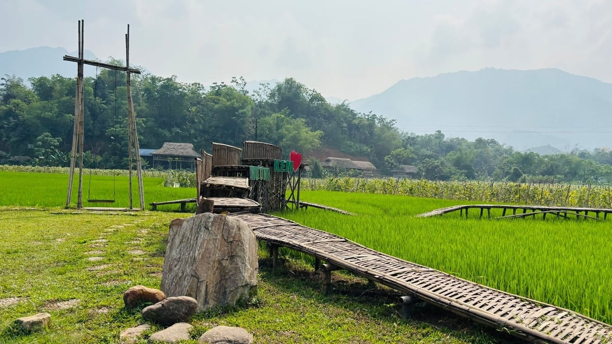 Một con đường nhỏ dẫn ra cánh đồng. Ảnh: HĐ.