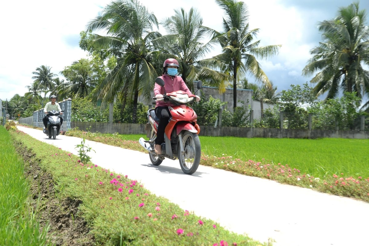 Tiền Giang và Đồng Tháp vốn có nhiều điểm tương đồng về địa lý, giao thông, kinh tế nông nghiệp và văn hóa. Ảnh: Minh Đảm. Tiền Giang và Đồng Tháp vốn có nhiều điểm tương đồng về địa lý, giao thông, kinh tế nông nghiệp và văn hóa. Ảnh: Minh Đảm.