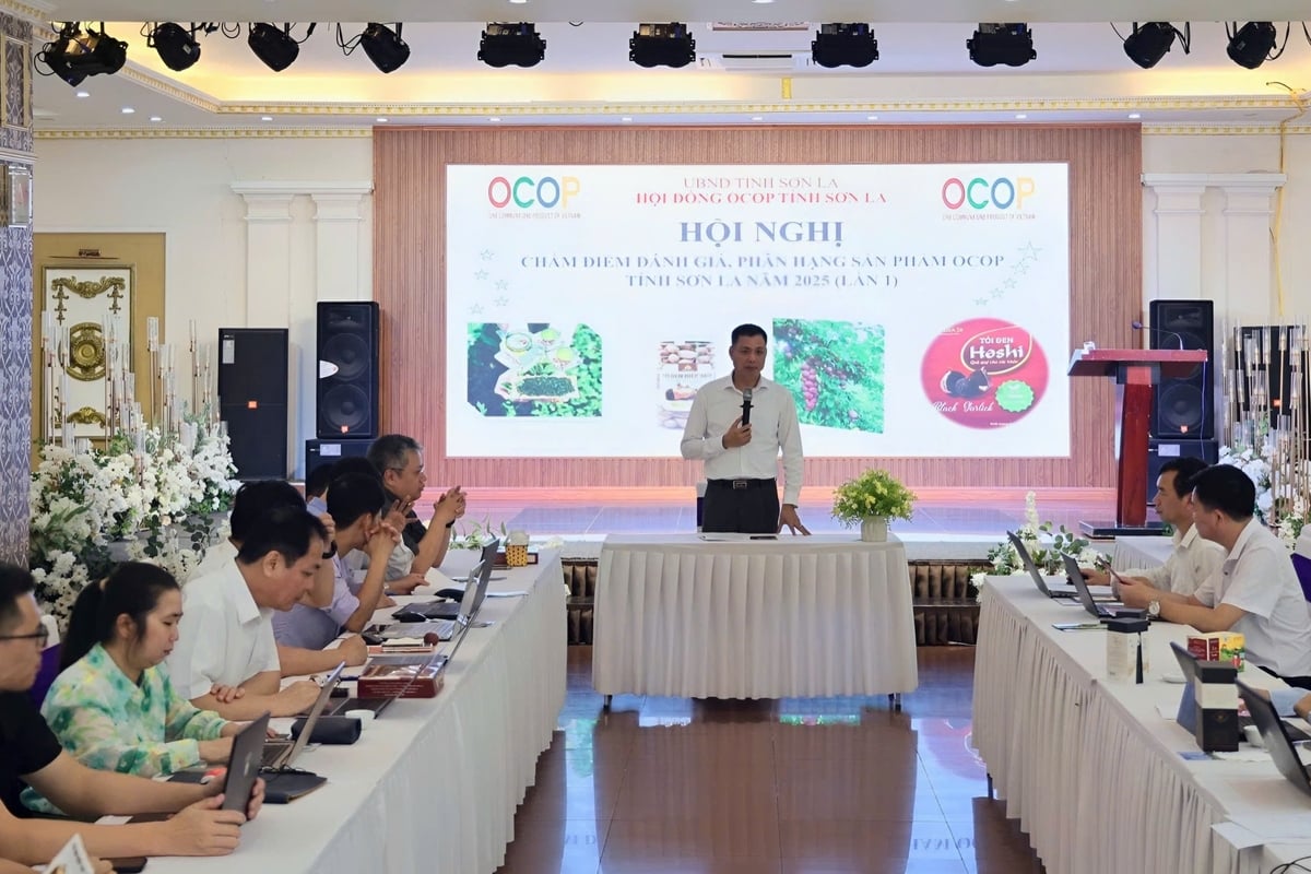 Sơn La tổ chức Hội nghị đánh giá, phân hạng sản phẩm OCOP năm 2025 (lần 1). Ảnh: Nguyễn Nga. Sơn La tổ chức Hội nghị đánh giá, phân hạng sản phẩm OCOP năm 2025 (lần 1). Ảnh: Nguyễn Nga.