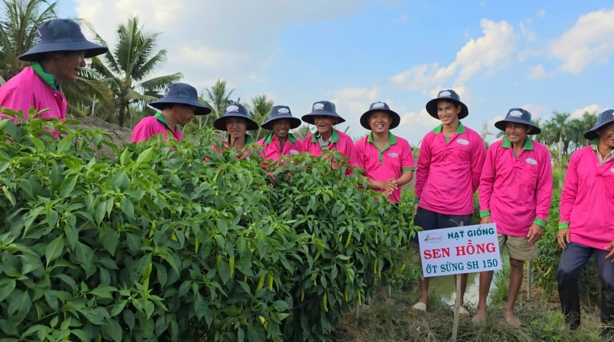 Ông Cao Đình Tuấn, Giám đốc Chi nhánh Công ty Sen Hồng tại Mỹ Tho cho biết: 'Sáp nhập tỉnh giúp doanh nghiệp giảm bớt thủ tục hành chính, tiết kiệm chi phí, hoạt động thuận lợi hơn'. Ảnh: Minh Đảm. Ông Cao Đình Tuấn, Giám đốc Chi nhánh Công ty Sen Hồng tại Mỹ Tho cho biết: 'Sáp nhập tỉnh giúp doanh nghiệp giảm bớt thủ tục hành chính, tiết kiệm chi phí, hoạt động thuận lợi hơn'. Ảnh: Minh Đảm.