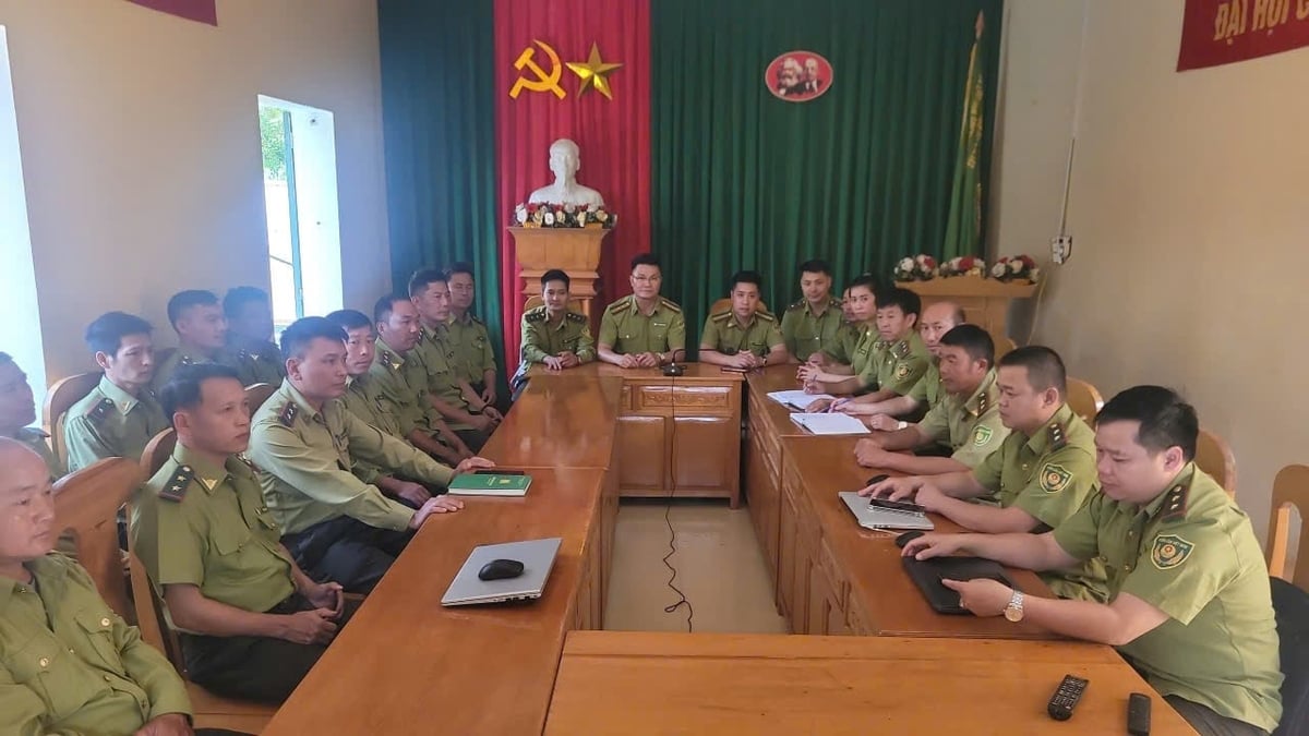 Cán bộ Chi cục Kiểm lâm cùng các hạt kiểm lâm khu vực tham gia hội nghị. Ảnh: Ngọc Anh. Cán bộ Chi cục Kiểm lâm cùng các hạt kiểm lâm khu vực tham gia hội nghị. Ảnh: Ngọc Anh.