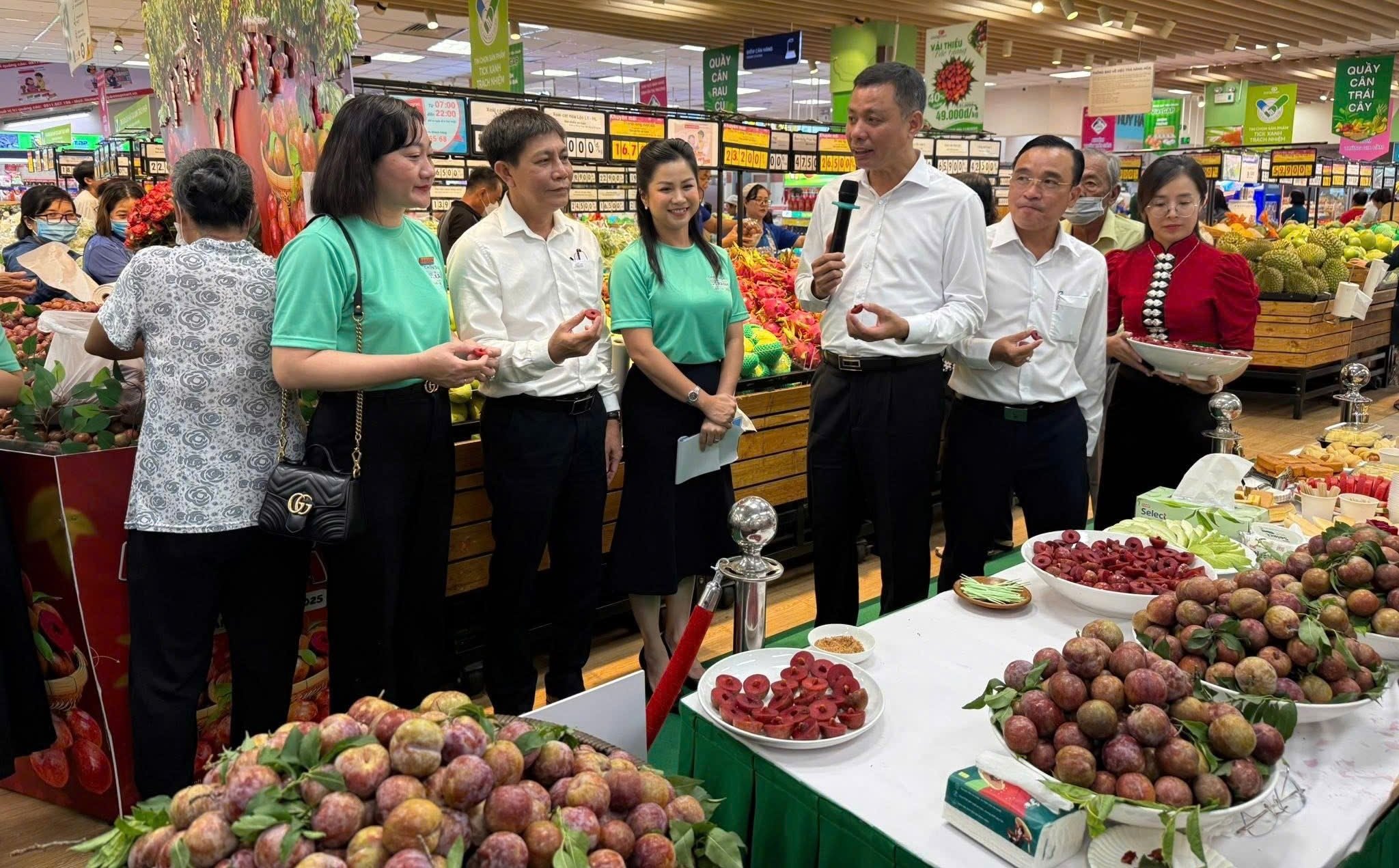 Mận hậu Sơn La góp mặt tại Lễ phát động chiến dịch Tiêu dùng xanh và Lễ hội mận hậu Sơn La do Liên hiệp HTX Thương mại TP.HCM (Saigon Co.op) tổ chức. Ảnh: Hồng Anh. Mận hậu Sơn La góp mặt tại Lễ phát động chiến dịch Tiêu dùng xanh và Lễ hội mận hậu Sơn La do Liên hiệp HTX Thương mại TP.HCM (Saigon Co.op) tổ chức. Ảnh: Hồng Anh.