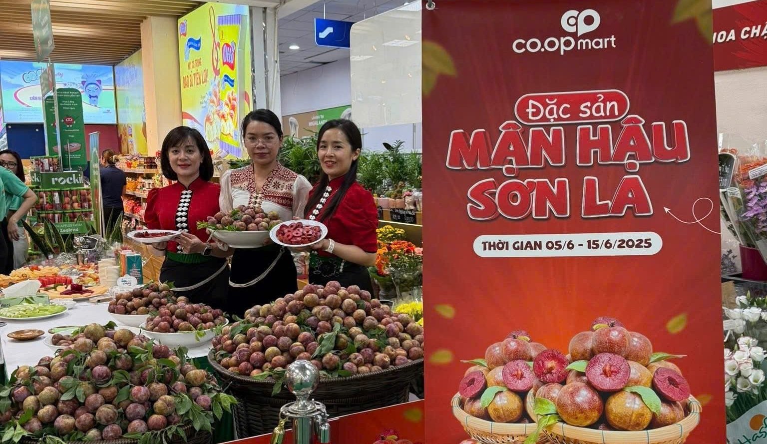 Quả mận Sơn La vào các siêu thị lớn. Ảnh: Hồng Anh. Quả mận Sơn La vào các siêu thị lớn. Ảnh: Hồng Anh.