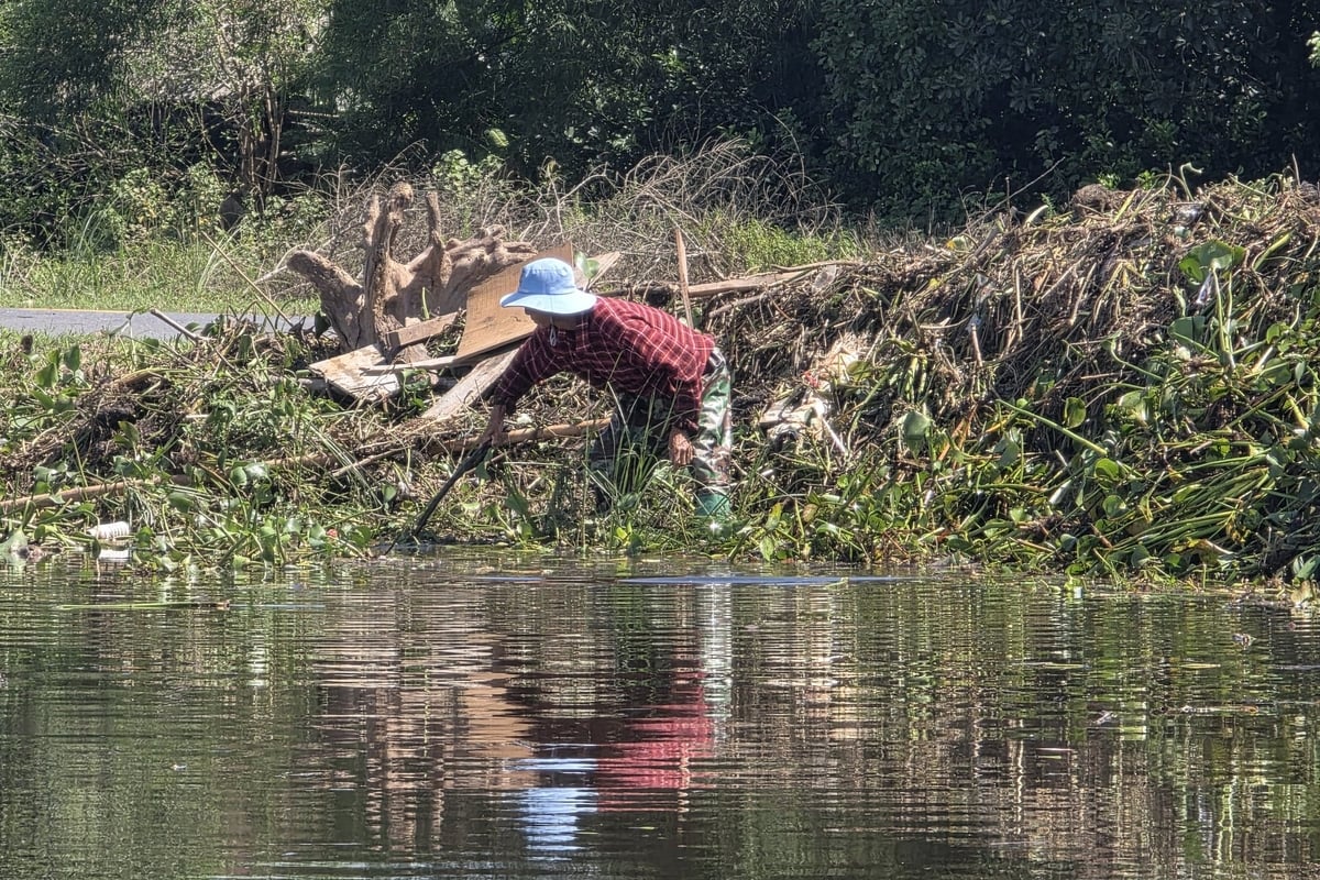 Người dân huyện Hải Lăng tranh thủ vớt bèo tây để khơi thông dòng chảy với hi vọng nước rút càng nhanh càng tốt để cứu lúa hè thu. Người dân huyện Hải Lăng tranh thủ vớt bèo tây để khơi thông dòng chảy với hi vọng nước rút càng nhanh càng tốt để cứu lúa hè thu.