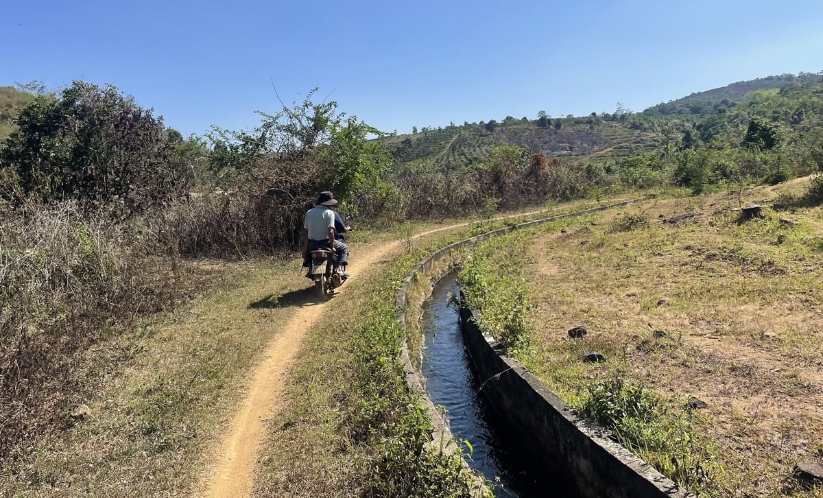 Mùa khô Tây Nguyên như thiêu cháy cỏ cây. Ảnh: Đình Du. Mùa khô Tây Nguyên như thiêu cháy cỏ cây. Ảnh: Đình Du.