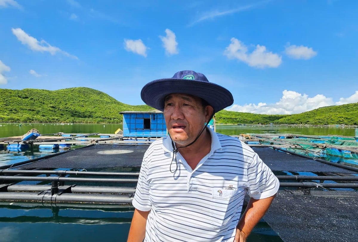 Ông Nguyễn Xuân Hòa cho biết, để giảm thiểu thiệt hại trong nuôi trồng thủy sản, ông theo dõi chặt chẽ các dự báo thời tiết. Ảnh: KS. Ông Nguyễn Xuân Hòa cho biết, để giảm thiểu thiệt hại trong nuôi trồng thủy sản, ông theo dõi chặt chẽ các dự báo thời tiết. Ảnh: KS.
