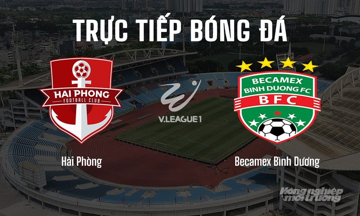 Trực tiếp bóng đá V-League 2024/25 giữa Hải Phòng vs Bình Dương hôm nay 15/6/2025 Trực tiếp bóng đá V-League 2024/25 giữa Hải Phòng vs Bình Dương hôm nay 15/6/2025