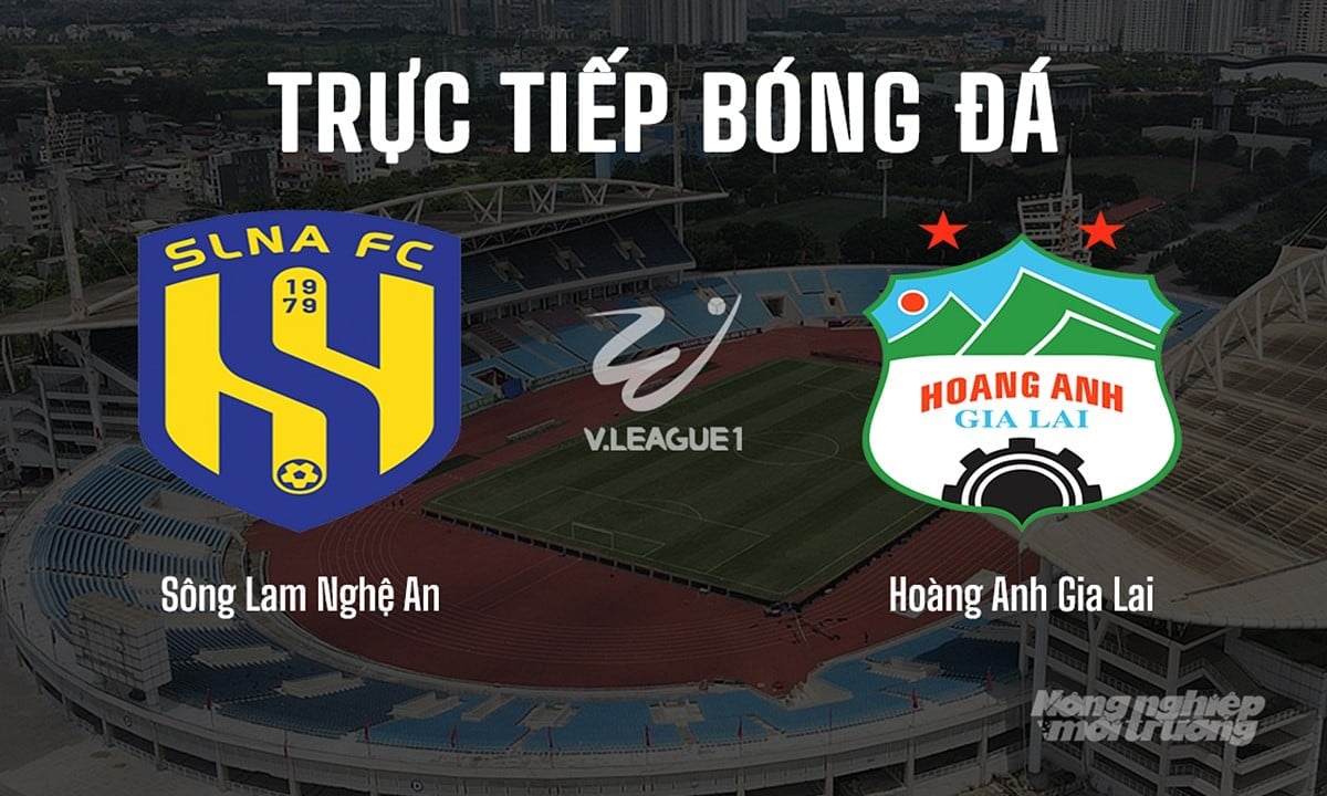 Trực tiếp bóng đá V-League 2024/25 giữa SLNA vs HAGL hôm nay 15/6/2025 Trực tiếp bóng đá V-League 2024/25 giữa SLNA vs HAGL hôm nay 15/6/2025