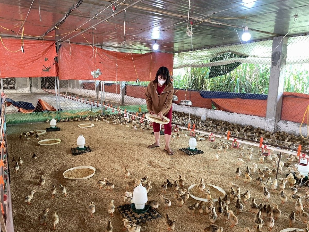 Trợ cấp thất nghiệp đã giúp gia đình chị Oanh trụ vững trong những ngày đầu khởi nghiệp. Ảnh: Minh Toàn. Trợ cấp thất nghiệp đã giúp gia đình chị Oanh trụ vững trong những ngày đầu khởi nghiệp. Ảnh: Minh Toàn.