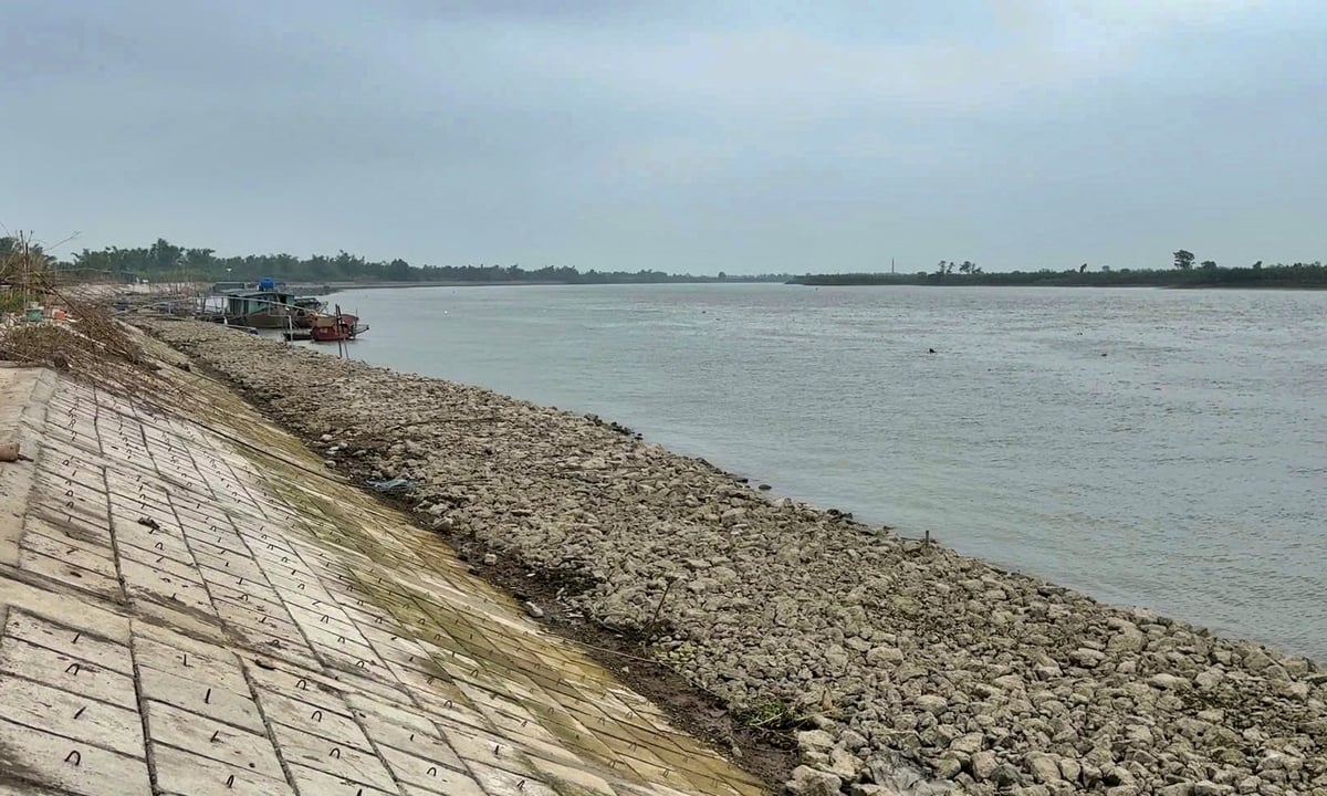 Riêng tại huyện Thanh Hà có 7 tuyến đê lớn cần bảo vệ. Ảnh: Phạm Hiếu. Riêng tại huyện Thanh Hà có 7 tuyến đê lớn cần bảo vệ. Ảnh: Phạm Hiếu.