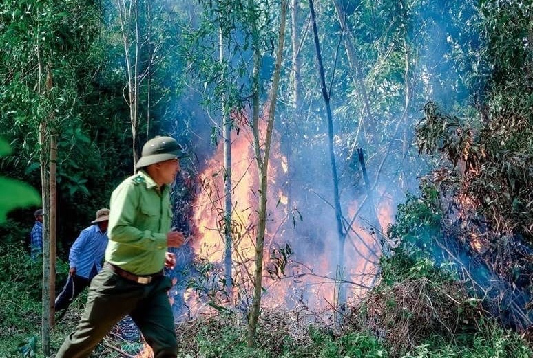 Cao điểm mùa khô, nguy cơ cháy rừng tăng cao. Ảnh: Võ Hà. Cao điểm mùa khô, nguy cơ cháy rừng tăng cao. Ảnh: Võ Hà.