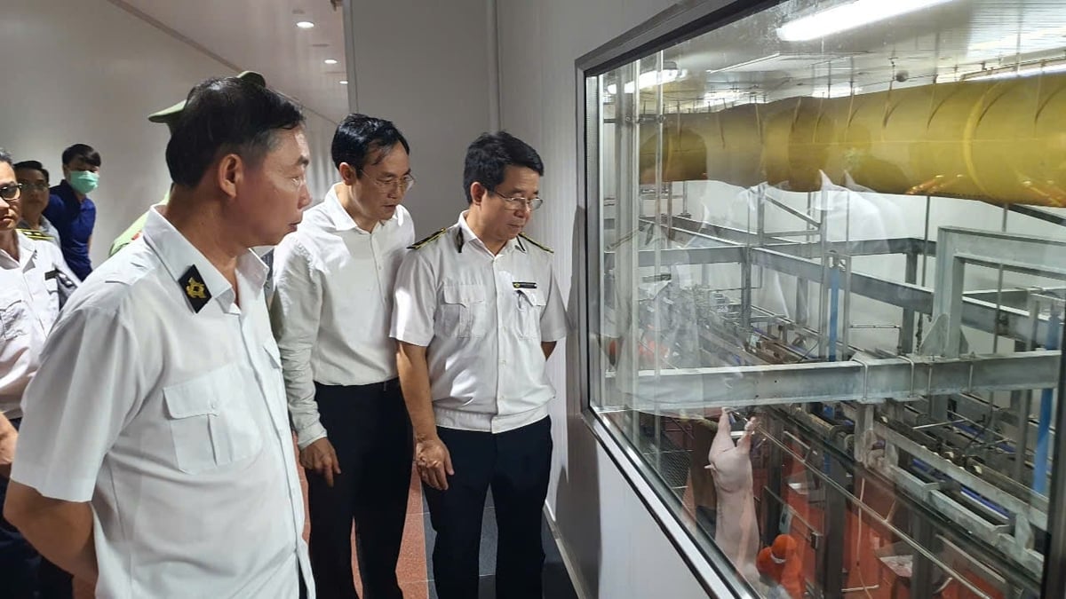 Đoàn kiểm tra liên ngành Hà Nội kiểm tra việc chấp hành quy định pháp luật về giết mổ tại Công ty C.P Việt Nam Chi nhánh Chương Mỹ, tháng 6/2025. Ảnh: Xuân Vũ. Đoàn kiểm tra liên ngành Hà Nội kiểm tra việc chấp hành quy định pháp luật về giết mổ tại Công ty C.P Việt Nam Chi nhánh Chương Mỹ, tháng 6/2025. Ảnh: Xuân Vũ.