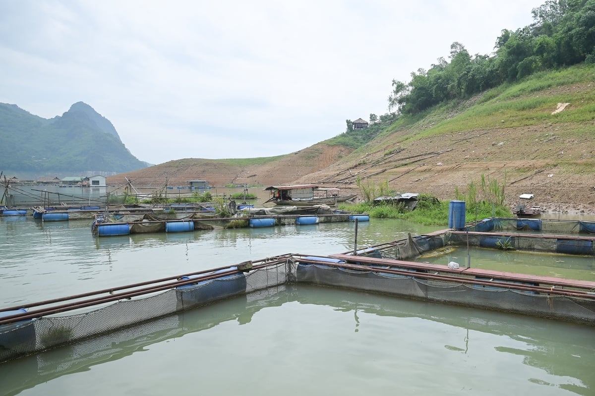 Mực nước hồ Hòa Bình thấp hơn cùng kỳ 2024 tới 30m. Ảnh: Tùng Đinh.