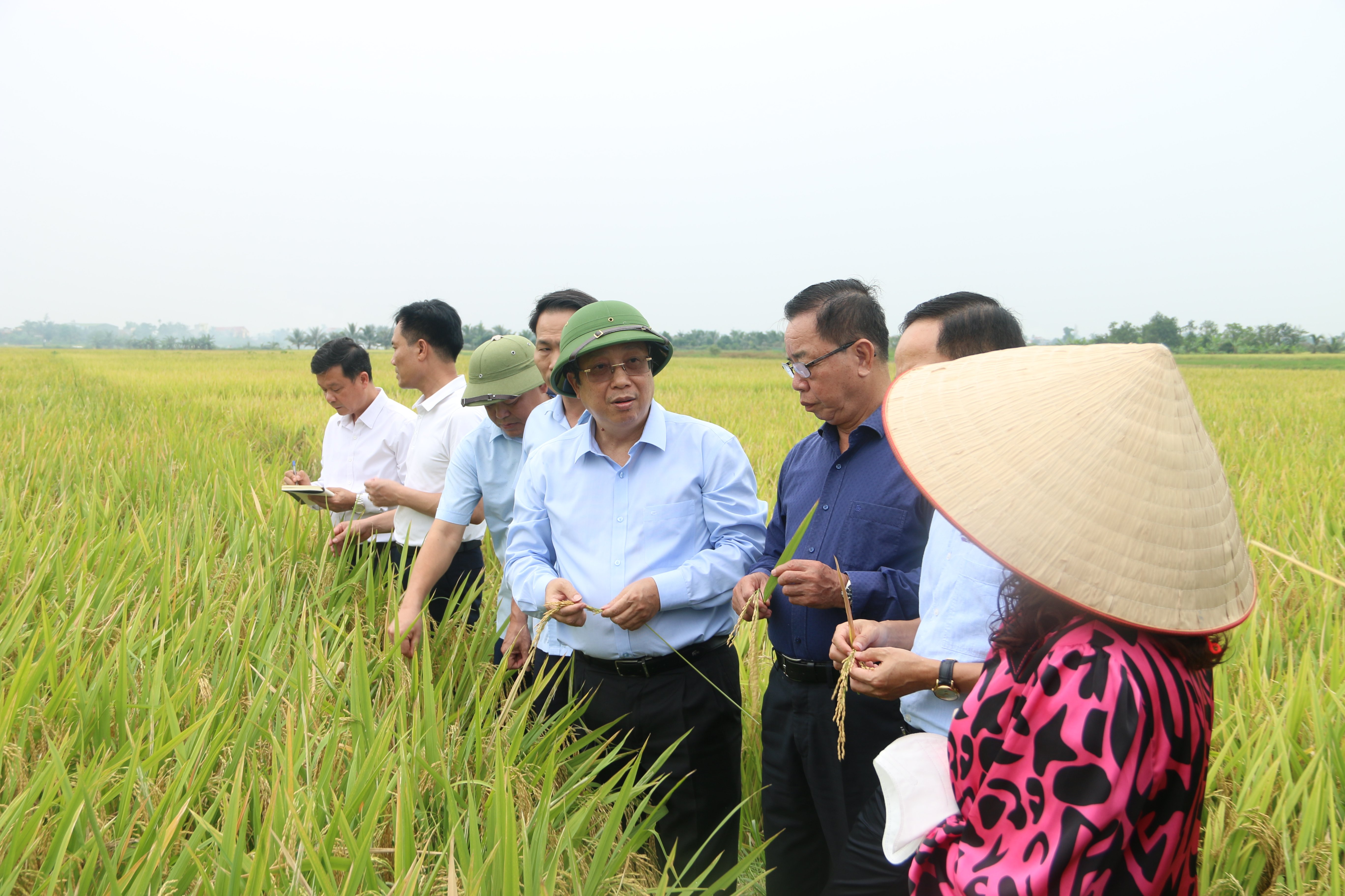 Thứ trưởng Hoàng Trung kiểm tra tình hình sản xuất lúa vụ Xuân tại xã Quyết Tiến, huyện Tiên Lãng, TP Hải Phòng. Ảnh: Đinh Mười. Thứ trưởng Hoàng Trung kiểm tra tình hình sản xuất lúa vụ Xuân tại xã Quyết Tiến, huyện Tiên Lãng, TP Hải Phòng. Ảnh: Đinh Mười.