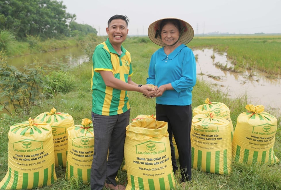 Phân bón Tiến Nông góp phần làm nên mùa vàng bội thu. Ảnh: Huyền Linh. Phân bón Tiến Nông góp phần làm nên mùa vàng bội thu. Ảnh: Huyền Linh.