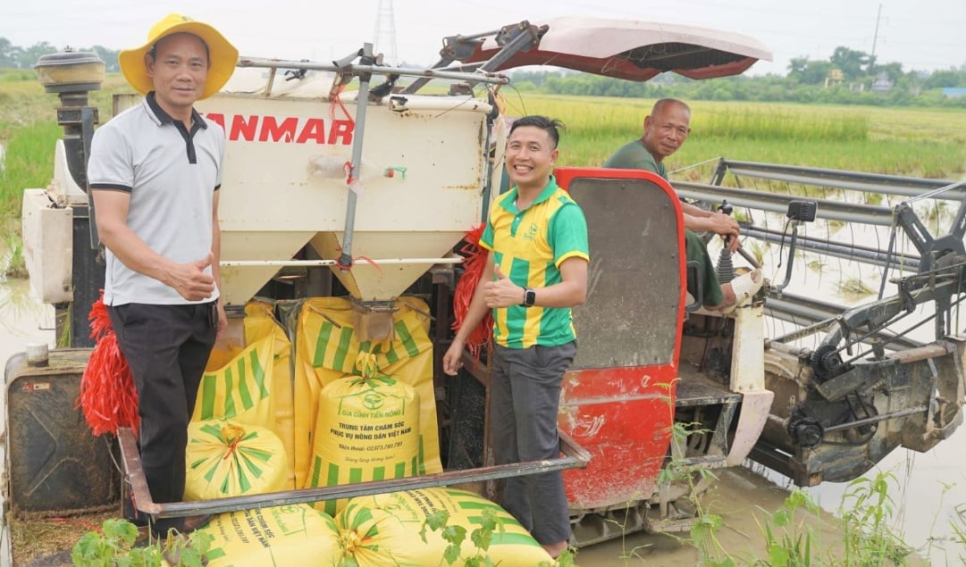 Cán bộ Công ty Tiến Nông hỗ trợ bà con thu hoạch lúa. Ảnh: Huyền Linh. Cán bộ Công ty Tiến Nông hỗ trợ bà con thu hoạch lúa. Ảnh: Huyền Linh.