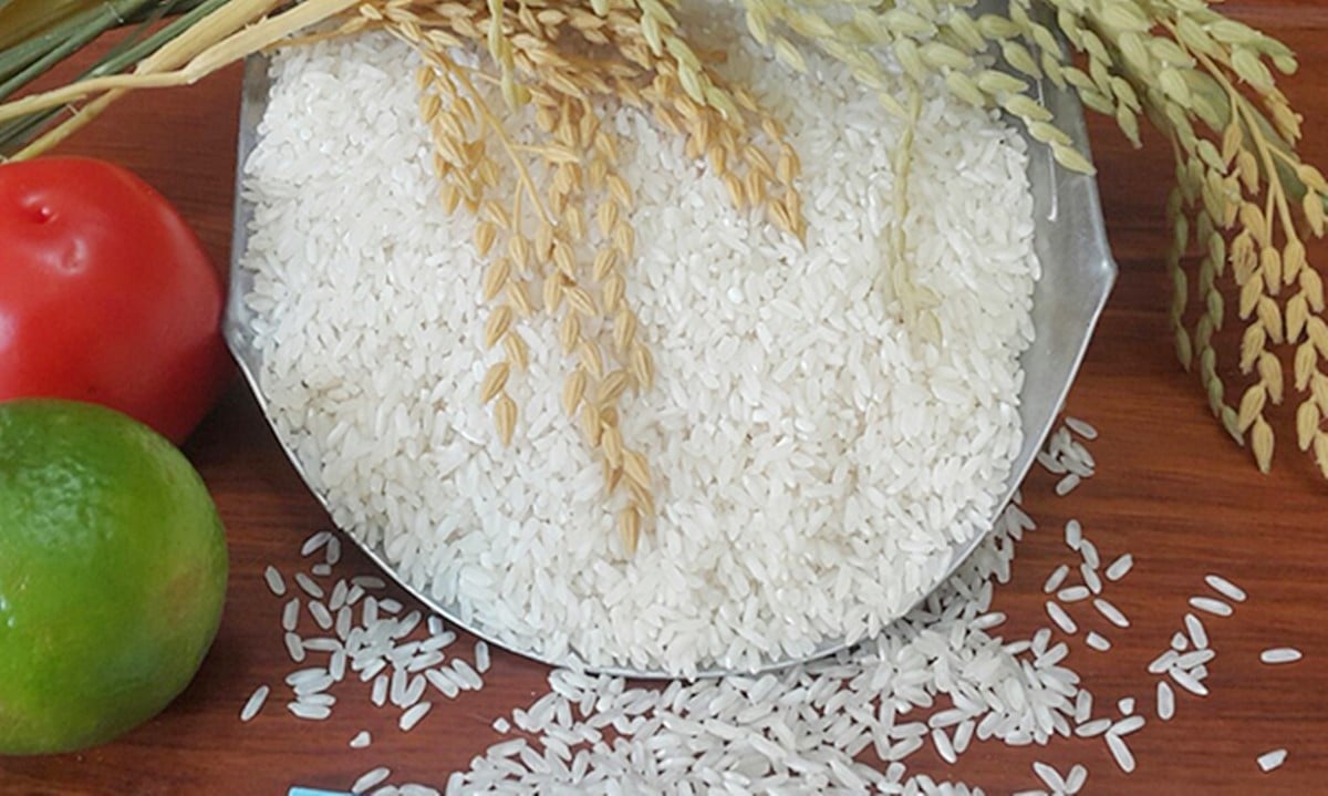 Cập nhật giá lúa gạo hôm nay 17/6/2025 mới nhất Cập nhật giá lúa gạo hôm nay 17/6/2025 mới nhất