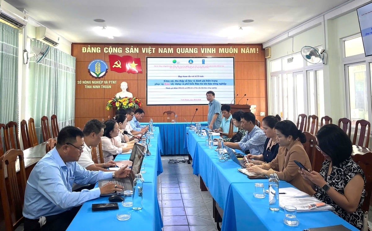 hop-tham-van-ban-tin-nong-nghiep-tinh-ninh-thuan-110512_853