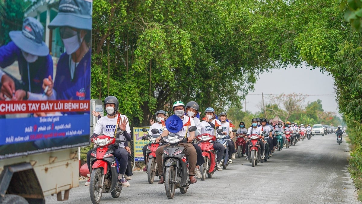 Sinh viên khoa Chăn nuôi Thú y tham gia diễu hành nâng cao nhận thức cộng đồng về phòng chống bệnh dại tại huyện Đức Huệ. Ảnh: Hồng Thủy. Sinh viên khoa Chăn nuôi Thú y tham gia diễu hành nâng cao nhận thức cộng đồng về phòng chống bệnh dại tại huyện Đức Huệ. Ảnh: Hồng Thủy.