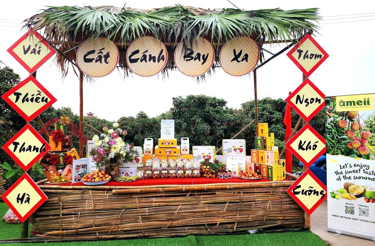 Thông điệp đưa vải thiều Thanh Hà 'cất cánh bay xa' của Ameii. Ảnh: Phạm Hiếu. Thông điệp đưa vải thiều Thanh Hà 'cất cánh bay xa' của Ameii. Ảnh: Phạm Hiếu.