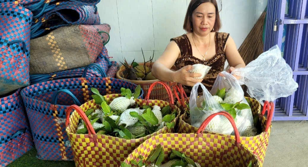 Giá trái ổi ở Tiền Giang đang ở mức thấp nhất trong 5 năm trở lại đây. Ảnh: Minh Đảm. Giá trái ổi ở Tiền Giang đang ở mức thấp nhất trong 5 năm trở lại đây. Ảnh: Minh Đảm.