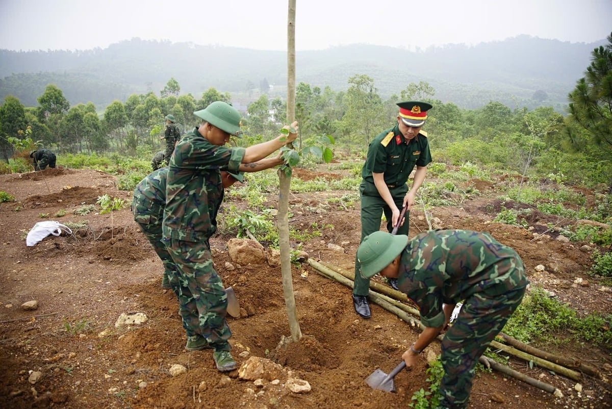 Chương trình có sự tham gia của hàng trăm chiến sĩ quân đội cùng hưởng ứng trồng cây. Chương trình có sự tham gia của hàng trăm chiến sĩ quân đội cùng hưởng ứng trồng cây.
