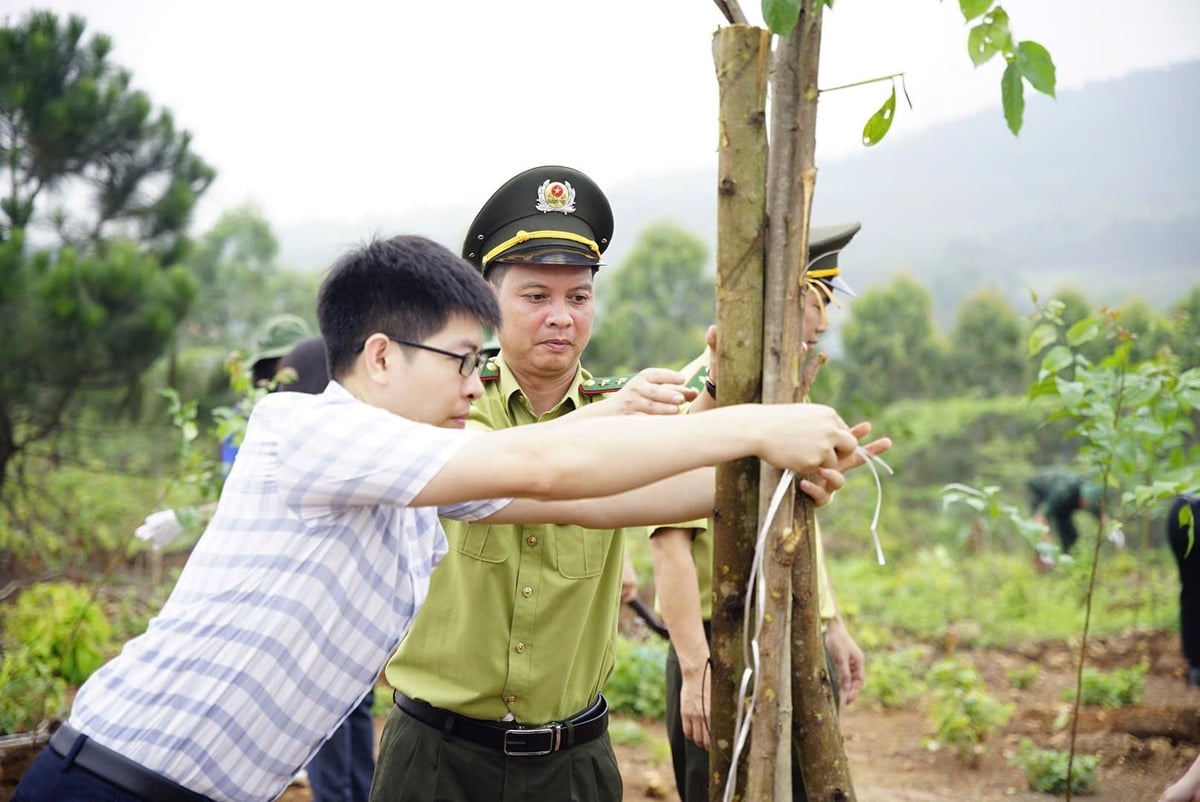 Hàng trăm đại biểu, đoàn viên và người dân đã cùng nhau trồng những cây đầu tiên tại huyện Tam Đảo, trên vùng đất được chọn phục hồi sinh thái. Hàng trăm đại biểu, đoàn viên và người dân đã cùng nhau trồng những cây đầu tiên tại huyện Tam Đảo, trên vùng đất được chọn phục hồi sinh thái.