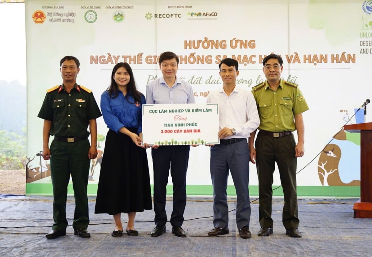 Cục Lâm nghiệp và Kiểm lâm đã trao tặng 3.000 cây giống Giáng hương và Lát hoa cho quân và dân địa phương để thực hiện trồng cây phân tán. Cục Lâm nghiệp và Kiểm lâm đã trao tặng 3.000 cây giống Giáng hương và Lát hoa cho quân và dân địa phương để thực hiện trồng cây phân tán.
