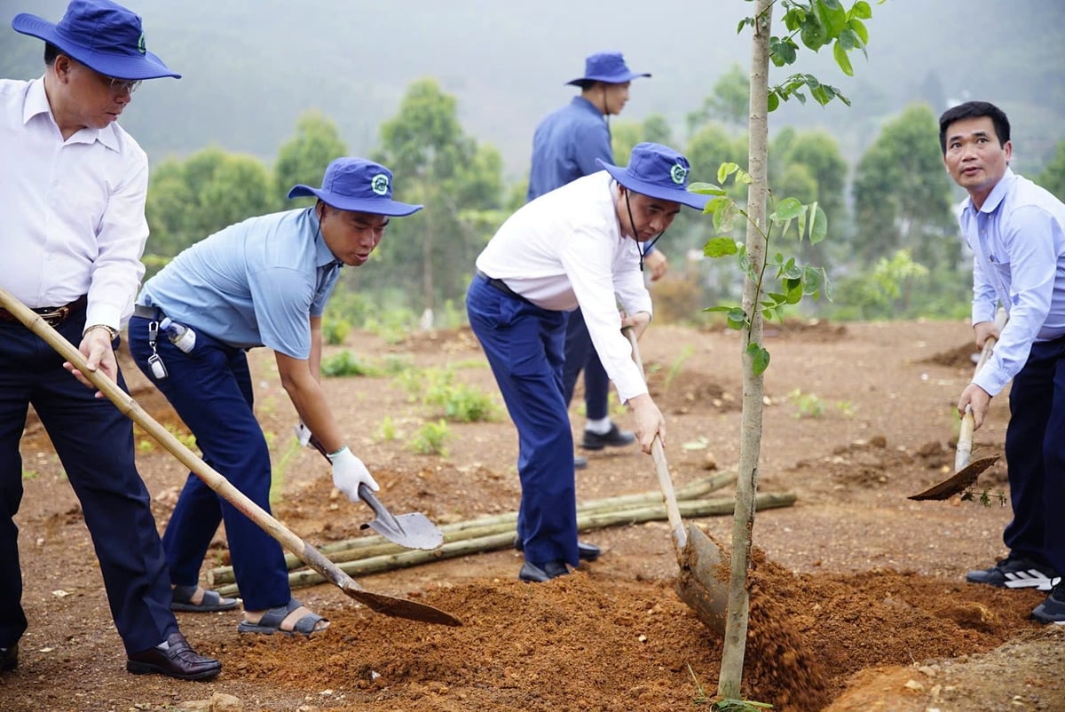 Thứ trưởng Nguyễn Quốc Trị (thứ ba từ bên trái) phát động trồng cây trong khuôn khổ Lễ mít tinh hưởng ứng Ngày Thế giới chống sa mạc hóa và hạn hán năm 2025. Thứ trưởng Nguyễn Quốc Trị (thứ ba từ bên trái) phát động trồng cây trong khuôn khổ Lễ mít tinh hưởng ứng Ngày Thế giới chống sa mạc hóa và hạn hán năm 2025.