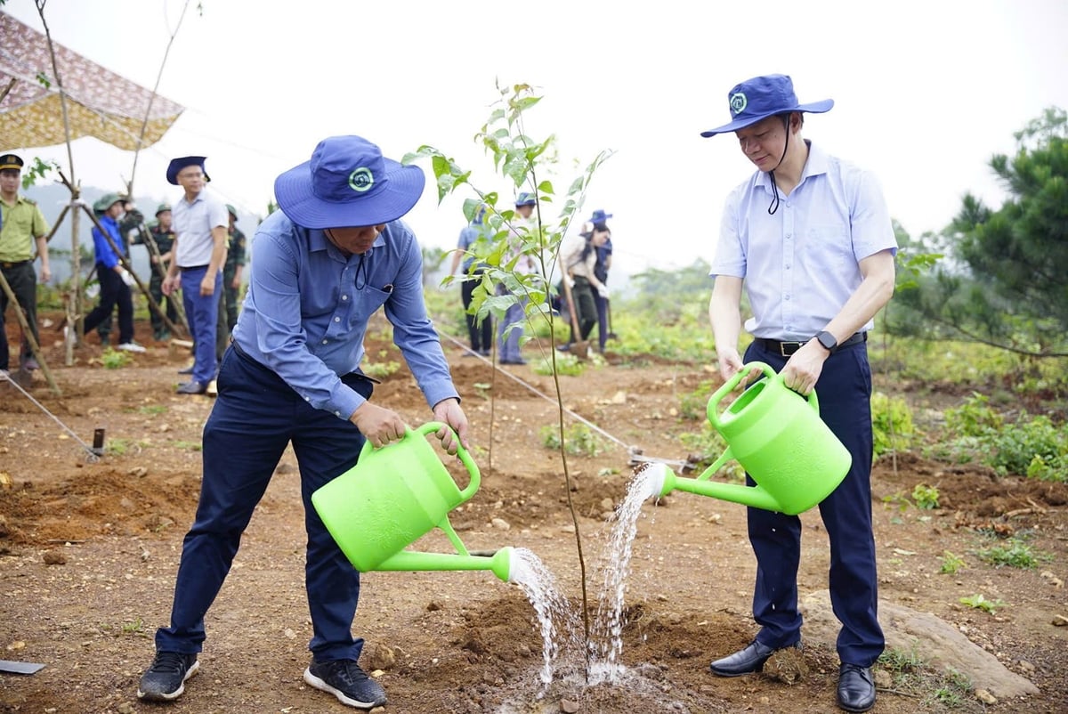 Ông Trần Quang Bảo, Cục trưởng Cục Lâm nghiệp và Kiểm lâm (ảnh phải), đánh giá Việt Nam đang là một trong những quốc gia đi đầu trong thực hiện Công ước chống sa mạc hóa của Liên Hợp Quốc. Ông Trần Quang Bảo, Cục trưởng Cục Lâm nghiệp và Kiểm lâm (ảnh phải), đánh giá Việt Nam đang là một trong những quốc gia đi đầu trong thực hiện Công ước chống sa mạc hóa của Liên Hợp Quốc.