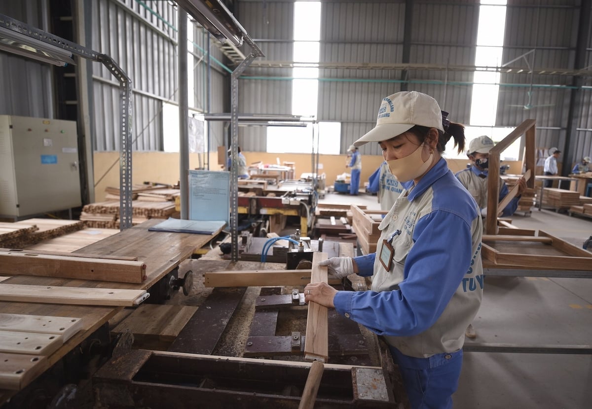 Luật Việc làm (sửa đổi) mở rộng đối tượng tham gia bảo hiểm thất nghiệp. Ảnh: Tùng Đinh. Luật Việc làm (sửa đổi) mở rộng đối tượng tham gia bảo hiểm thất nghiệp. Ảnh: Tùng Đinh.