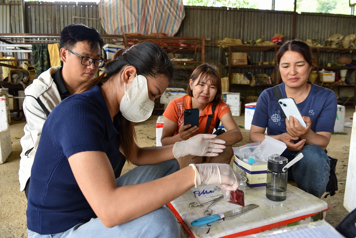 Cán bộ huyện đang xét nghiệm mận của HTX Kiên Cường Phiêng Khoài. Ảnh: Dương Đình Tường. Cán bộ huyện đang xét nghiệm mận của HTX Kiên Cường Phiêng Khoài. Ảnh: Dương Đình Tường.