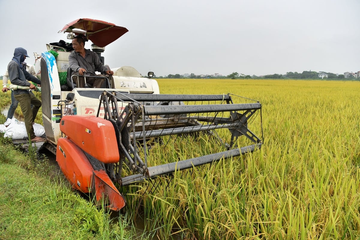 Cơ giới hóa giải phóng hầu hết các công đoạn lao động của nông dân. Ảnh: Dương Đình Tường. Cơ giới hóa giải phóng hầu hết các công đoạn lao động của nông dân. Ảnh: Dương Đình Tường.