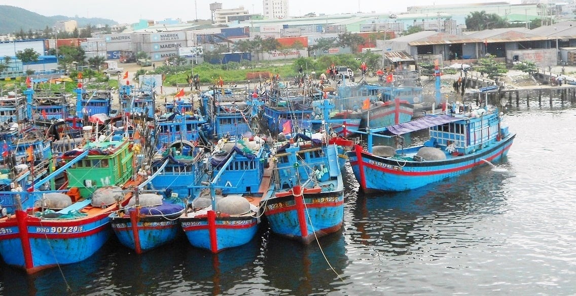 100% sản lượng tàu cập cảng Thọ Quang được giám sát, có đối chiếu với VMS và hồ sơ xác nhận, chứng nhận xuất khẩu. Ảnh: Lan Anh 100% sản lượng tàu cập cảng Thọ Quang được giám sát, có đối chiếu với VMS và hồ sơ xác nhận, chứng nhận xuất khẩu. Ảnh: Lan Anh