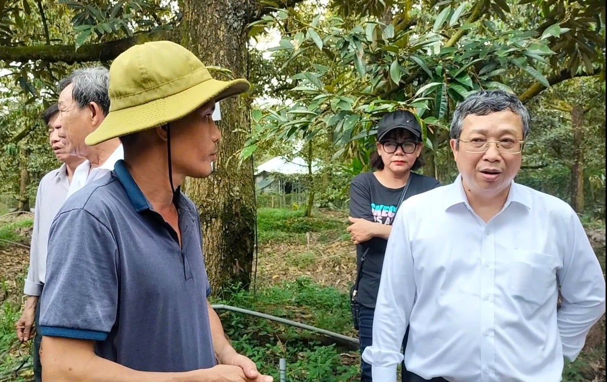 Thứ trưởng Hoàng Trung trao đổi với nông dân. Ảnh: Minh Đảm. Thứ trưởng Hoàng Trung trao đổi với nông dân. Ảnh: Minh Đảm.